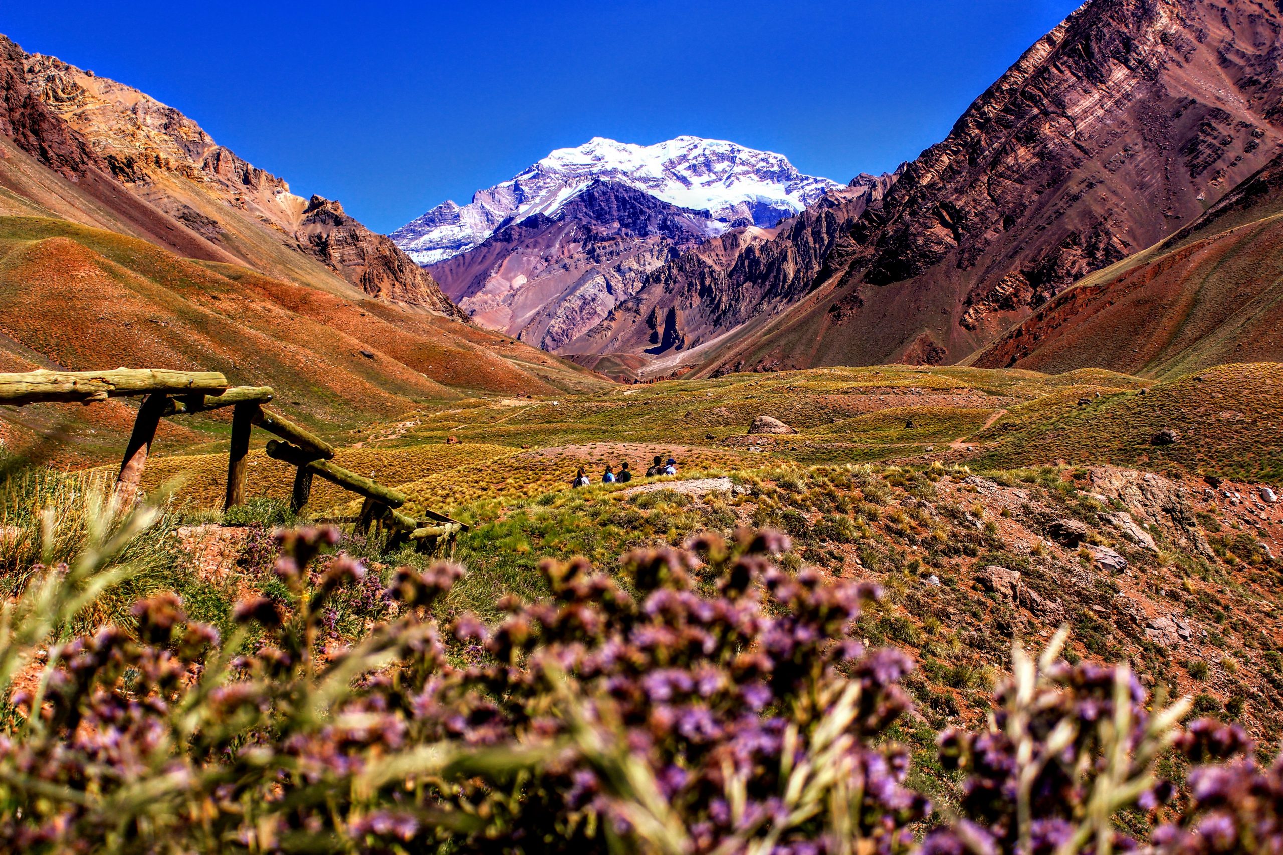 Mendoza